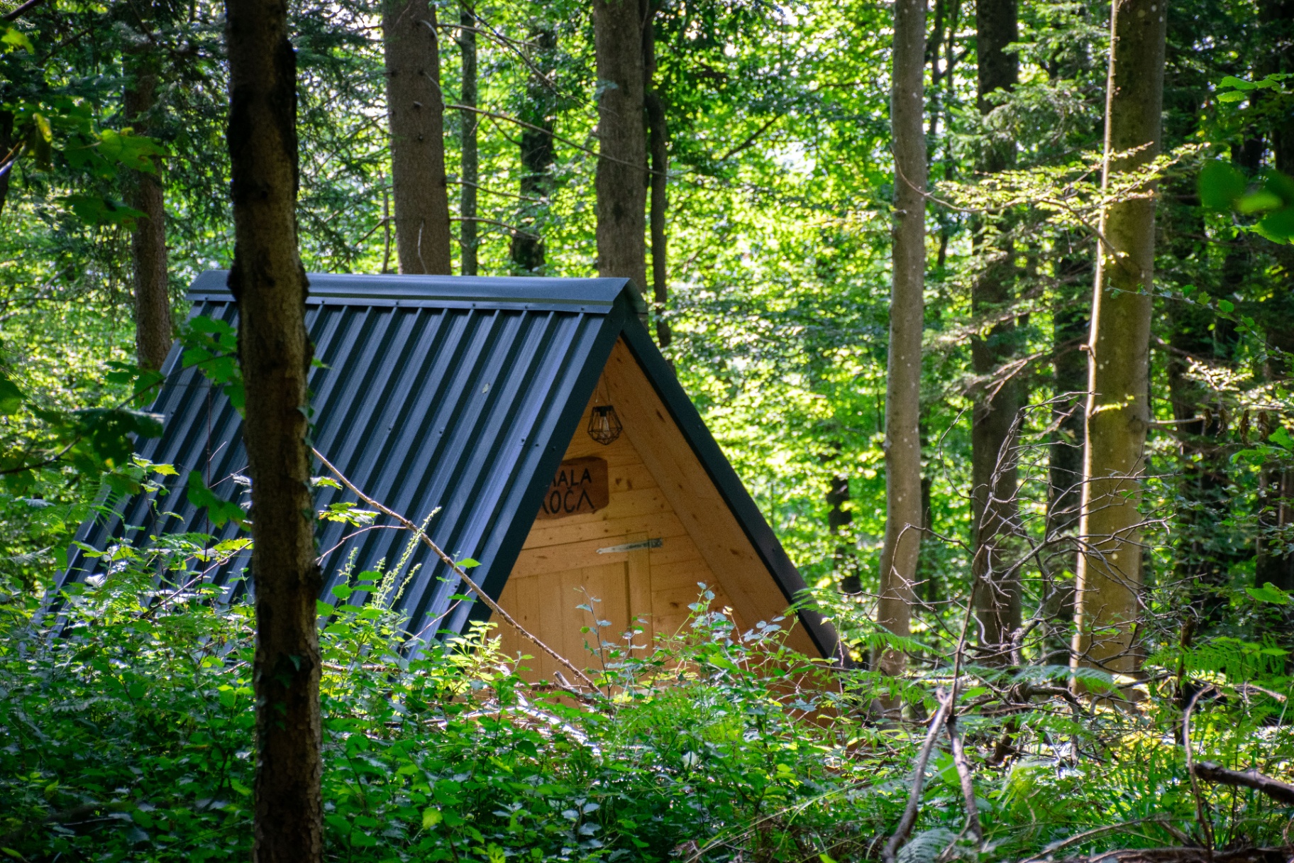 Glamping